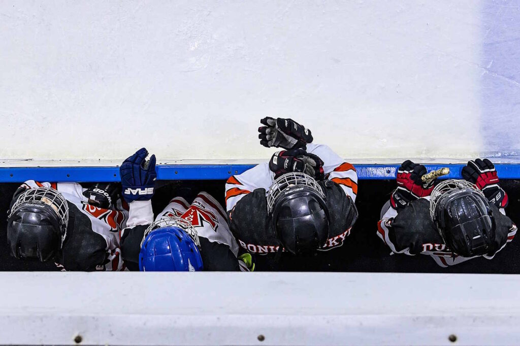 eishockey playoffs